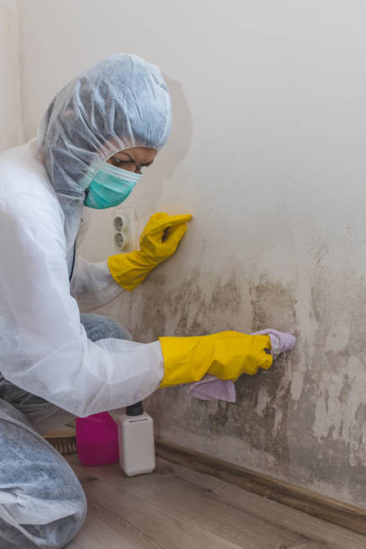 Best Mold Remediation for Healthcare Facilities  in Missouri City, TX