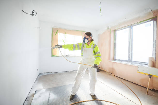 Best Crawl Space Mold Remediation  in Missouri City, TX