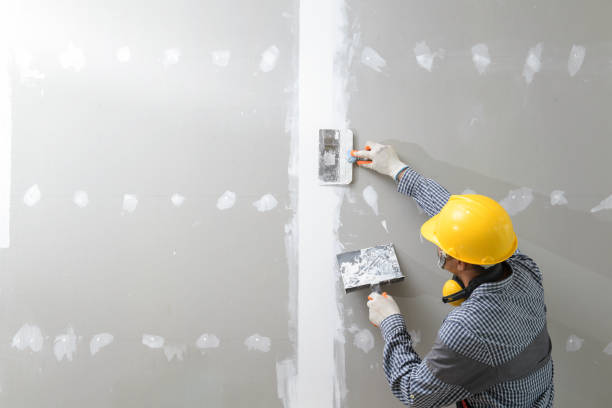  Missouri City, TX Mold Removal Pros