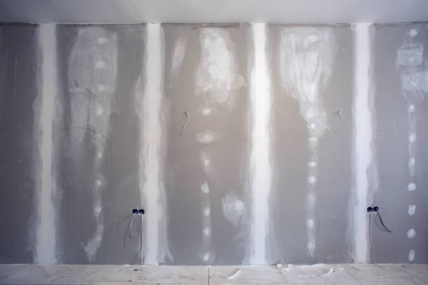 Best Mold Documentation for Insurance Claims  in Missouri City, TX