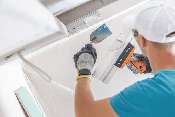 Best Airborne Mold Testing  in Missouri City, TX